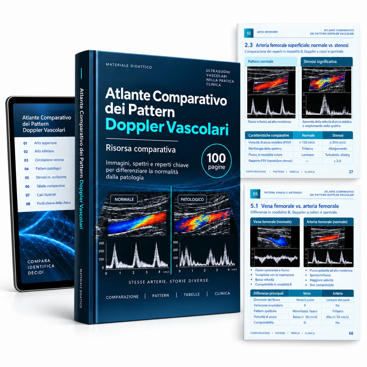 Rappresentazione digitale: Atlante Comparativo dei Pattern Doppler Vascolari