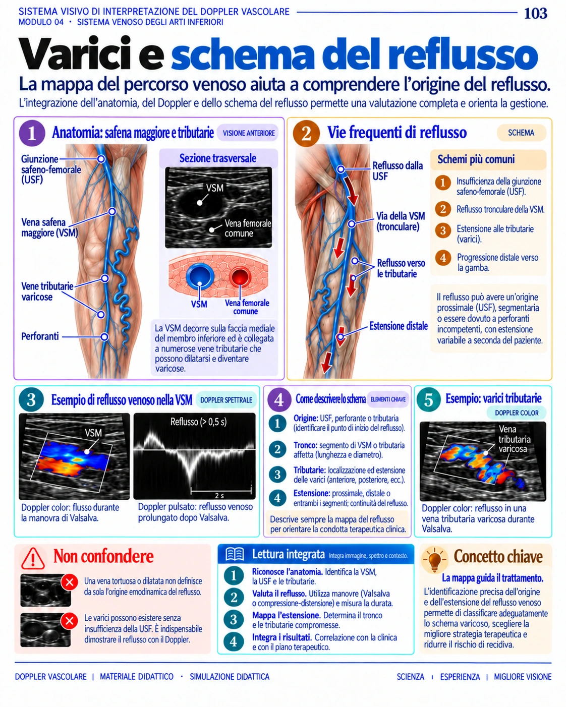 Pagina 103: Varici e pattern di reflusso. Anteprima in italiano del materiale di Doppler vascolare.